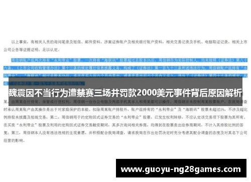 魏震因不当行为遭禁赛三场并罚款2000美元事件背后原因解析 魏震因不当行为遭禁赛三场并罚款2000美元事件背后原因解析