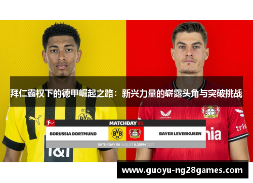 拜仁霸权下的德甲崛起之路：新兴力量的崭露头角与突破挑战